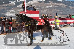 Dateiname=20240114_r01_171_R01_0481.jpg
Dateigröße=385KB
Abmessungen: 1000x667
hinzugefügt am: 15. Januar 2024 20240114_r01_171_R01_0481.jpg