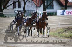 Dateiname=20240314_qu1_009_QU1_0017.jpg
Dateigröße=607KB
Abmessungen: 1000x667
hinzugefügt am: 15. März 2024 20240314_qu1_009_QU1_0017.jpg