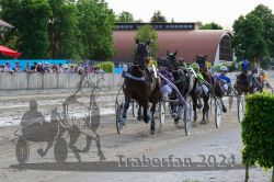 Dateiname=20240520_r12_066_R12_0135.jpg
Dateigröße=722KB
Abmessungen: 1000x667
hinzugefügt am: 23. Mai 2024 20240520_r12_066_R12_0135.jpg