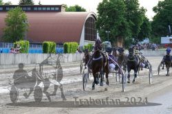 Dateiname=20240520_r12_086_R12_0169.jpg
Dateigröße=705KB
Abmessungen: 1000x667
hinzugefügt am: 23. Mai 2024 20240520_r12_086_R12_0169.jpg