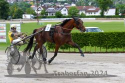 Dateiname=20240521_r02_096_R02_0164.jpg
Dateigröße=659KB
Abmessungen: 1000x667
hinzugefügt am: 23. Mai 2024 20240521_r02_096_R02_0164.jpg