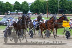 Dateiname=20240521_r07_071_R07_0132.jpg
Dateigröße=665KB
Abmessungen: 1000x667
hinzugefügt am: 24. Mai 2024 20240521_r07_071_R07_0132.jpg