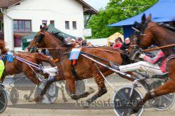 Dateiname=20240521_r08_059_R08_0110.jpg
Dateigröße=619KB
Abmessungen: 1000x667
hinzugefügt am: 24. Mai 2024 20240521_r08_059_R08_0110.jpg