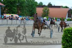 Dateiname=20240521_r08_096_R08_0173.jpg
Dateigröße=612KB
Abmessungen: 1000x667
hinzugefügt am: 24. Mai 2024 20240521_r08_096_R08_0173.jpg