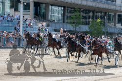 Dateiname=20240623_r04_117_R04_0280.jpg
Dateigröße=689KB
Abmessungen: 1000x667
hinzugefügt am: 25. Juni 2024 20240623_r04_117_R04_0280.jpg