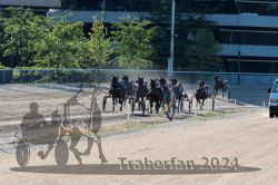 Dateiname=20240623_r08_131_R08_0326.jpg
Dateigröße=656KB
Abmessungen: 1000x667
hinzugefügt am: 26. Juni 2024 20240623_r08_131_R08_0326.jpg
