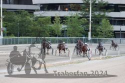 Dateiname=20240623_r11_101_R11_0240.jpg
Dateigröße=527KB
Abmessungen: 1000x667
hinzugefügt am: 26. Juni 2024 20240623_r11_101_R11_0240.jpg