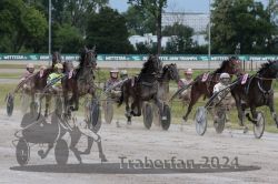 Dateiname=20240626_r03_068_R03_0108.jpg
Dateigröße=593KB
Abmessungen: 1000x667
hinzugefügt am: 27. Juni 2024 20240626_r03_068_R03_0108.jpg