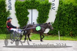 Dateiname=20240707_mt_039_MT1_0054.jpg
Dateigröße=818KB
Abmessungen: 1000x667
hinzugefügt am: 09. Juli 2024 20240707_mt_039_MT1_0054.jpg