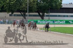 Dateiname=20240717_r04_089_R04_0172.jpg
Dateigröße=658KB
Abmessungen: 1000x667
hinzugefügt am: 18. Juli 2024 20240717_r04_089_R04_0172.jpg