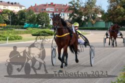 Dateiname=20240728_r08_004_R08_0016.jpg
Dateigröße=347KB
Abmessungen: 1000x667
hinzugefügt am: 30. Juli 2024 20240728_r08_004_R08_0016.jpg