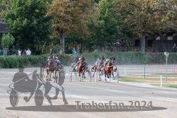 Dateiname=20240728_r08_061_R08_0112.jpg
Dateigröße=373KB
Abmessungen: 1000x667
hinzugefügt am: 30. Juli 2024 20240728_r08_061_R08_0112.jpg