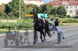 Dateiname=20240728_r09_132_R09_0266.jpg
Dateigröße=351KB
Abmessungen: 1000x667
hinzugefügt am: 30. Juli 2024 20240728_r09_132_R09_0266.jpg