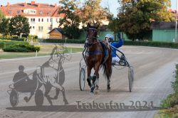 Dateiname=20240728_r10_114_R10_0187.jpg
Dateigröße=352KB
Abmessungen: 1000x667
hinzugefügt am: 30. Juli 2024 20240728_r10_114_R10_0187.jpg