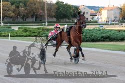 Dateiname=20240728_r11_070_R11_0069.jpg
Dateigröße=296KB
Abmessungen: 1000x667
hinzugefügt am: 30. Juli 2024 20240728_r11_070_R11_0069.jpg