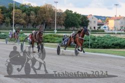 Dateiname=20240728_r11_144_R11_0234.jpg
Dateigröße=326KB
Abmessungen: 1000x667
hinzugefügt am: 30. Juli 2024 20240728_r11_144_R11_0234.jpg