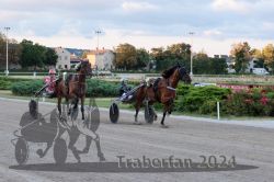 Dateiname=20240728_r11_149_R11_0240.jpg
Dateigröße=282KB
Abmessungen: 1000x667
hinzugefügt am: 30. Juli 2024 20240728_r11_149_R11_0240.jpg