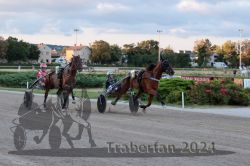 Dateiname=20240728_r11_150_R11_0241.jpg
Dateigröße=277KB
Abmessungen: 1000x667
hinzugefügt am: 30. Juli 2024 20240728_r11_150_R11_0241.jpg