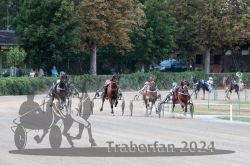 Dateiname=20240728_r12_082_R12_0162.jpg
Dateigröße=611KB
Abmessungen: 1000x667
hinzugefügt am: 29. Juli 2024 20240728_r12_082_R12_0162.jpg