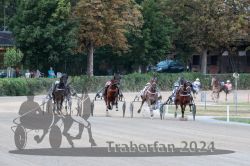 Dateiname=20240728_r12_083_R12_0163.jpg
Dateigröße=619KB
Abmessungen: 1000x667
hinzugefügt am: 29. Juli 2024 20240728_r12_083_R12_0163.jpg