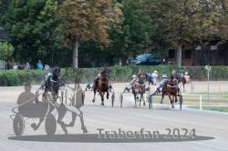Dateiname=20240728_r12_084_R12_0165.jpg
Dateigröße=608KB
Abmessungen: 1000x667
hinzugefügt am: 29. Juli 2024 20240728_r12_084_R12_0165.jpg