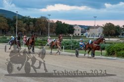 Dateiname=20240728_r12_100_R12_0186.jpg
Dateigröße=552KB
Abmessungen: 1000x667
hinzugefügt am: 29. Juli 2024 20240728_r12_100_R12_0186.jpg