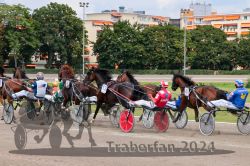 Dateiname=20240817_r06_127_R06_0208.jpg
Dateigröße=420KB
Abmessungen: 1000x667
hinzugefügt am: 22. August 2024 20240817_r06_127_R06_0208.jpg