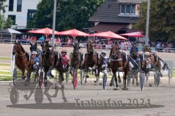 Dateiname=20240817_r06_174_R06_0290.jpg
Dateigröße=377KB
Abmessungen: 1000x667
hinzugefügt am: 22. August 2024 20240817_r06_174_R06_0290.jpg