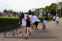 Dateiname=20240817_r09_146_R09_0274.jpg
Dateigröße=374KB
Abmessungen: 1000x667
hinzugefügt am: 23. August 2024 20240817_r09_146_R09_0274.jpg