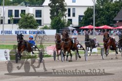 Dateiname=20240818_r10_070_R10_0094.jpg
Dateigröße=347KB
Abmessungen: 1000x667
hinzugefügt am: 25. August 2024 20240818_r10_070_R10_0094.jpg
