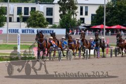 Dateiname=20240818_r12r_185_R12_0328.jpg
Dateigröße=356KB
Abmessungen: 1000x667
hinzugefügt am: 25. August 2024 20240818_r12r_185_R12_0328.jpg