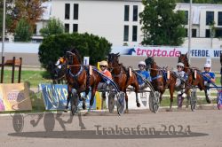 Dateiname=20240818_r12r_192_R12_0337.jpg
Dateigröße=344KB
Abmessungen: 1000x667
hinzugefügt am: 25. August 2024 20240818_r12r_192_R12_0337.jpg