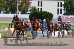 Dateiname=20240818_r12r_195_R12_0341.jpg
Dateigröße=350KB
Abmessungen: 1000x667
hinzugefügt am: 25. August 2024 20240818_r12r_195_R12_0341.jpg