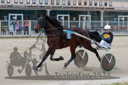 Dateiname=20241014_qu2_005_QU2_0009.jpg
Dateigröße=281KB
Abmessungen: 1000x667
hinzugefügt am: 14. Oktober 2024 20241014_qu2_005_QU2_0009.jpg
