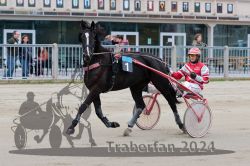 Dateiname=20241014_qu2_010_QU2_0018.jpg
Dateigröße=299KB
Abmessungen: 1000x667
hinzugefügt am: 14. Oktober 2024 20241014_qu2_010_QU2_0018.jpg
