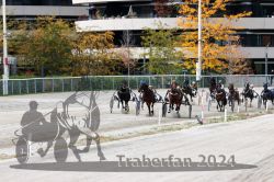 Dateiname=20241014_r03_095_R03_0177.jpg
Dateigröße=401KB
Abmessungen: 1000x667
hinzugefügt am: 15. Oktober 2024 20241014_r03_095_R03_0177.jpg