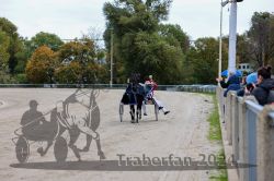 Dateiname=20241014_r03_176_CR5_0206.jpg
Dateigröße=334KB
Abmessungen: 1000x667
hinzugefügt am: 15. Oktober 2024 20241014_r03_176_CR5_0206.jpg