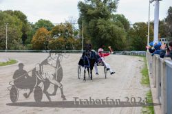 Dateiname=20241014_r03_179_CR5_0210.jpg
Dateigröße=334KB
Abmessungen: 1000x667
hinzugefügt am: 15. Oktober 2024 20241014_r03_179_CR5_0210.jpg