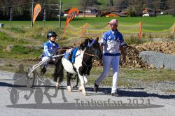 Dateiname=20241026_r02_034_R02_0057.jpg
Dateigröße=468KB
Abmessungen: 1000x667
hinzugefügt am: 28. Oktober 2024 20241026_r02_034_R02_0057.jpg