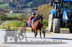 Dateiname=20241026_r02_057_R02_0087.jpg
Dateigröße=337KB
Abmessungen: 1000x667
hinzugefügt am: 28. Oktober 2024 20241026_r02_057_R02_0087.jpg
