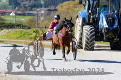 Dateiname=20241026_r02_058_R02_0089.jpg
Dateigröße=337KB
Abmessungen: 1000x667
hinzugefügt am: 28. Oktober 2024 20241026_r02_058_R02_0089.jpg