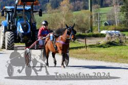 Dateiname=20241026_r02_064_R02_0097.jpg
Dateigröße=355KB
Abmessungen: 1000x667
hinzugefügt am: 28. Oktober 2024 20241026_r02_064_R02_0097.jpg