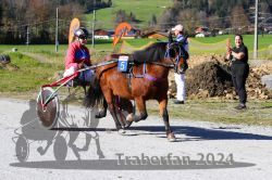 Dateiname=20241026_r02_071_R02_0106.jpg
Dateigröße=404KB
Abmessungen: 1000x667
hinzugefügt am: 28. Oktober 2024 20241026_r02_071_R02_0106.jpg
