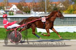 Dateiname=20241027_qu2_063_QU2_0113.jpg
Dateigröße=333KB
Abmessungen: 1000x667
hinzugefügt am: 29. Oktober 2024 20241027_qu2_063_QU2_0113.jpg