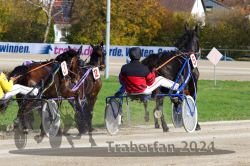 Dateiname=20241027_qu2_073_QU2_0133.jpg
Dateigröße=378KB
Abmessungen: 1000x667
hinzugefügt am: 29. Oktober 2024 20241027_qu2_073_QU2_0133.jpg