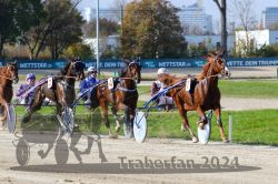 Dateiname=20241027_qu2_077_QU2_0140.jpg
Dateigröße=371KB
Abmessungen: 1000x667
hinzugefügt am: 29. Oktober 2024 20241027_qu2_077_QU2_0140.jpg