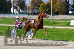 Dateiname=20241027_qu2_104_QU2_0188.jpg
Dateigröße=353KB
Abmessungen: 1000x667
hinzugefügt am: 29. Oktober 2024 20241027_qu2_104_QU2_0188.jpg
