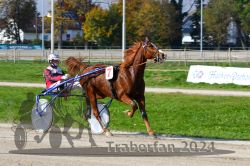 Dateiname=20241027_qu2_105_QU2_0189.jpg
Dateigröße=360KB
Abmessungen: 1000x667
hinzugefügt am: 29. Oktober 2024 20241027_qu2_105_QU2_0189.jpg