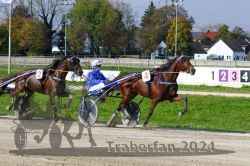 Dateiname=20241027_qu2_108_QU2_0194.jpg
Dateigröße=427KB
Abmessungen: 1000x667
hinzugefügt am: 29. Oktober 2024 20241027_qu2_108_QU2_0194.jpg