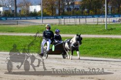 Dateiname=20241027_mt_097_MT1_0121.jpg
Dateigröße=371KB
Abmessungen: 1000x667
hinzugefügt am: 29. Oktober 2024 20241027_mt_097_MT1_0121.jpg